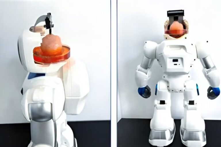 China Benamkan Otak Manusia pada Robot Organoid
