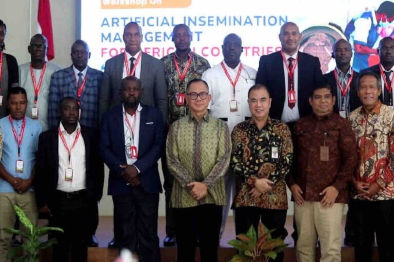 Kementan: Sembilan negara Afrika belajar inseminasi buatan di Malang