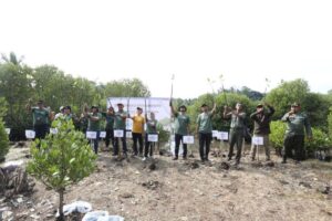 Pertamina tanam 2.000 mangrove dukung dekarbonisasi