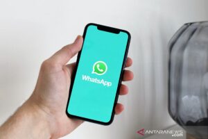 WhatsApp uji fitur pilih foto dari album untuk berbagi