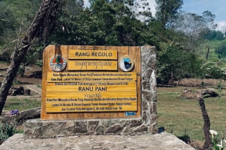 7 Bulan Ditutup Total Wisata Danau Ranu Regulo TNBTS Kembali Dibuka, Ini Penampakannya