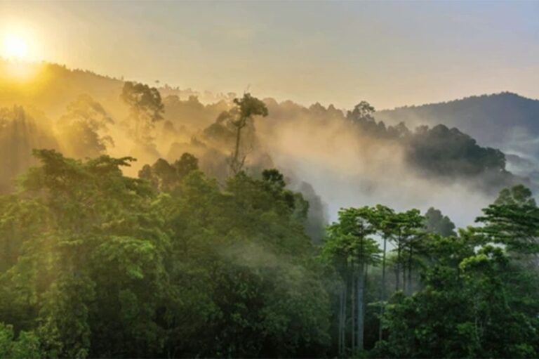 7 Tempat Wisata Dingin di Kalimantan, Nomor 6 Salah Satu Puncak Tertinggi di Indonesia