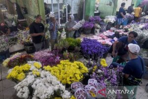 Bakal ada “Festival Bunga Rawa Belong” di Jakarta