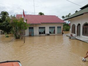 Banjir Terjang 21 Desa di Aceh Tenggara, BNPB: 1.834 Warga Terdampak