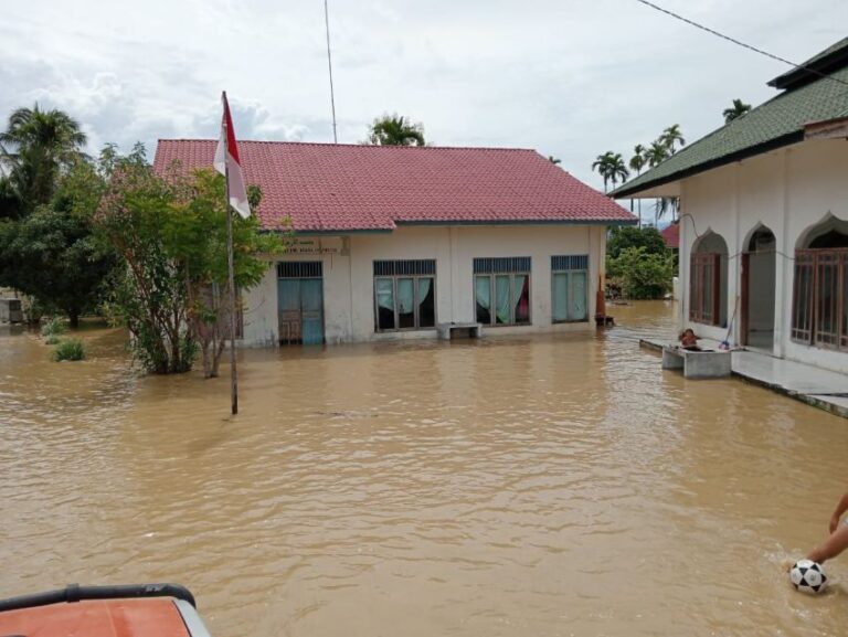 Banjir Terjang 21 Desa di Aceh Tenggara, BNPB: 1.834 Warga Terdampak