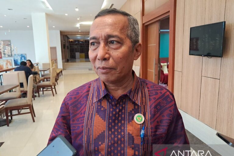 DEN sarankan empat DOB di Tanah Papua terbitkan Pergub RUED