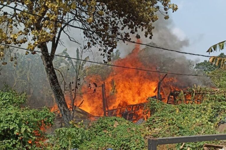 Kandang Ternak di Jakbar Terbakar, 37 Kambing Mati Terpanggang