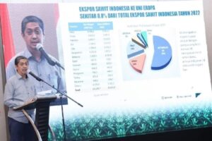 Kementan: Strategi Sawit Satu percepat sertifikasi ISPO petani