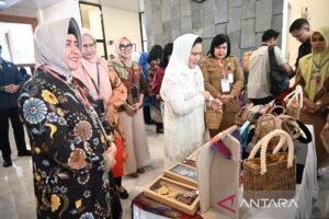 Ketua PKK Makassar promosikan produk UMKM kepada ibu negara