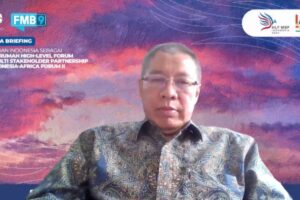 Lewat HLF MSP 2024, RI bidik perumusan pembiayaan alternatif untuk SDG