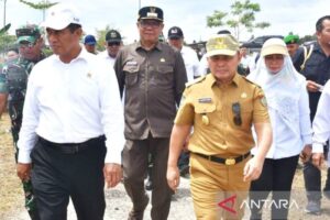 Mentan tinjau lahan persawahan food estate di Kapuas