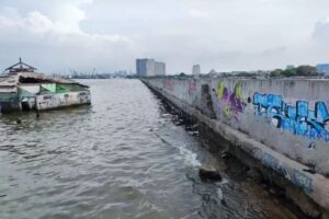 Pemerintah Mau Bangun Giant Sea Wall Jakarta-Gresik, Pengamat : Perbaikan Sisi Hulu Lebih Realistis