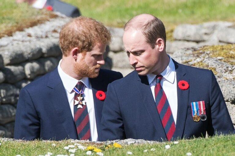 Perbandingan Kekayaan Pangeran Harry dan William, Siapa yang Lebih Tajir?