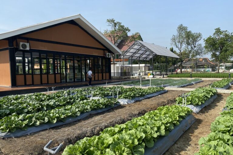 Petrokimia Gresik mulai operasikan pusat riset Agro Tech Center