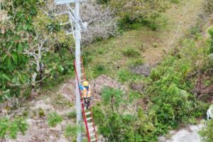 PLN terangi 34 dusun terpencil di Sulbar menjelang HUT Ke-79 RI