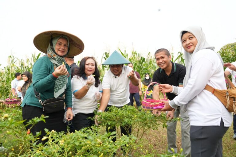 Poktan di Jakbar kembali sukses panen jagung dan cabai