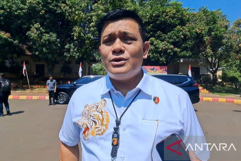 Polisi usut kasus dugaan video asusila mirip figur publik