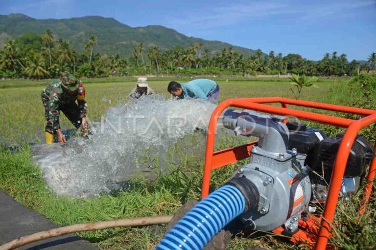 Pompanisasi untuk ketahanan pangan nasional