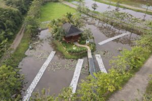 PTBA kembangkan lahan basah buatan untuk pemulihan lingkungan