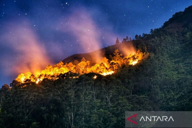 Sao Paulo bentuk Kabinet Krisis untuk atasi kebakaran hutan