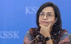 Soal Kebocoran Data NPWP, Sri Mulyani : Saya Minta Dirjen Pajak untuk Evaluasi