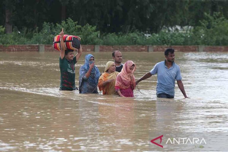 WMO sebut perubahan iklim beri dampak buruk yang semakin meningkat