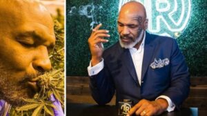 3 Alasan Mike Tyson Membangun Bisnis Ganja, dari Hobi hingga Cuan Besar