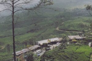 4 Cara Mengatasi Stres saat Macet Total di Jalur Puncak