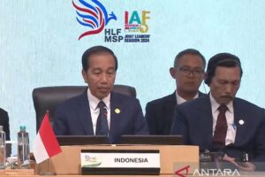 Amplifikasi hilirisasi sektor mineral di bumi Afrika melalui IAF