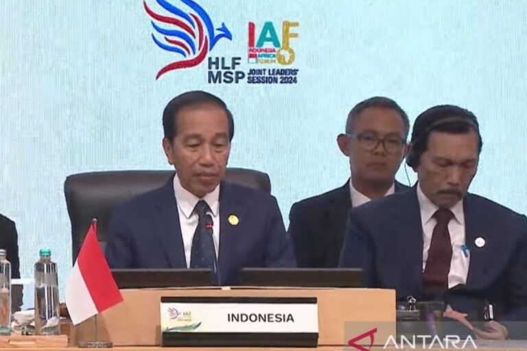 Amplifikasi hilirisasi sektor mineral di bumi Afrika melalui IAF