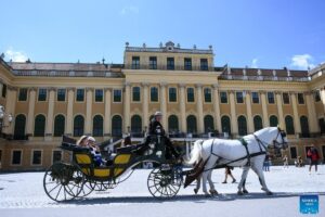 Austria tangkap dua tersangka diduga rencanakan serangan teror di Wina