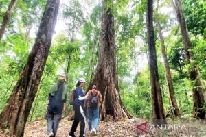 Bandara Syamsudin Noor promosi Geopark Meratus surga pariwisata Kalsel