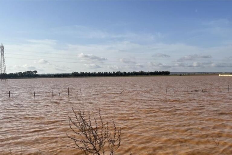 Banjir di Nigeria tewaskan 37 orang