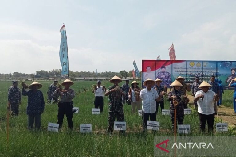 Bantul dan TNI AL wujudkan ketahanan pangan dukung petani lahan pasir