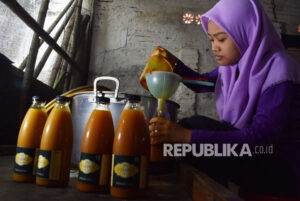 Bersama BUMN, Produk Herbal UMKM Siap Menaklukkan Pasar Internasional