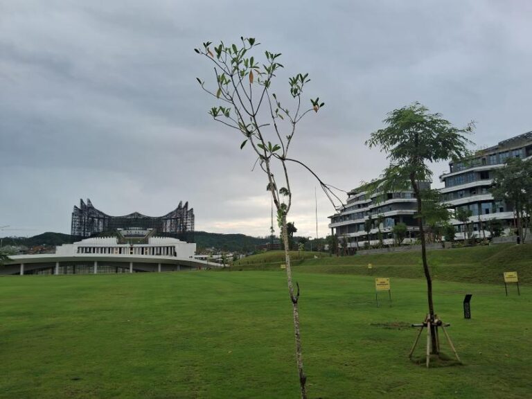 BNI Tanam Pohon di IKN Demi Dukung Penghijauan