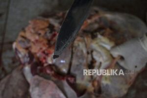 Daging Kurban yang Terpapar Cacing Hati Harus Dibakar, Ini Alasannya