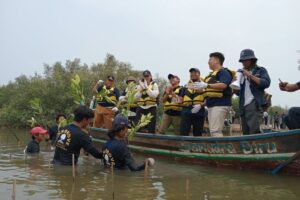 FishLog menanam 5.000 mangrove di Muara Gembong lewat Catalytic Fund