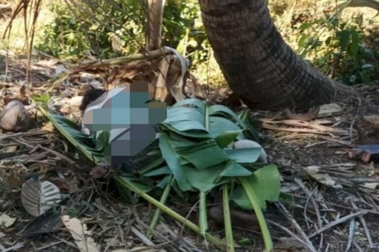 Geger! Penemuan Mayat Lansia Ditutup Daun Pisang di Kupang, Pelaku Diduga ODGJ