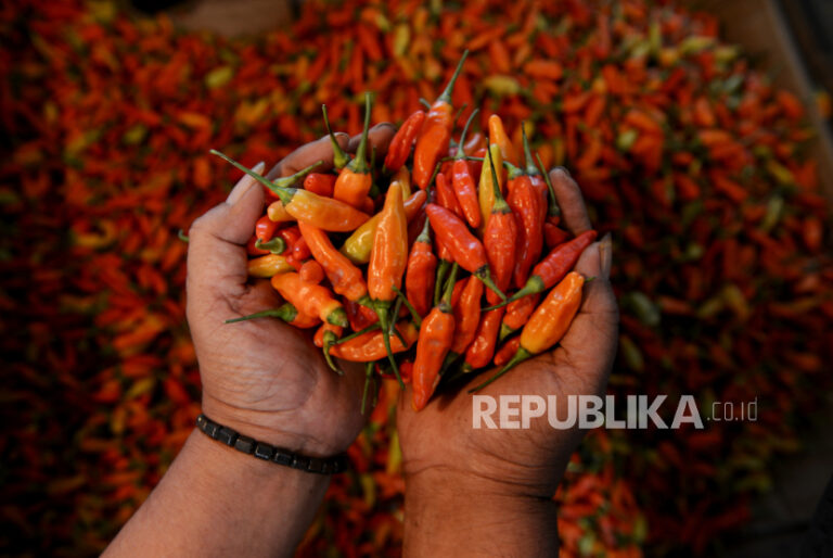 Harga Cabai Rawit di Jakarta Meroket: Tembus Rp69 Ribu Per Kg, Tertinggi Sepanjang 2024