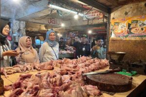 Harga pangan hari ini, daging ayam ras turun jadi Rp34.400 per kg