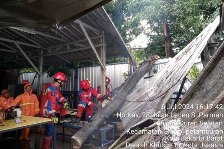 Hujan Angin, Atap Kantin di Tomang Hancur Tertimpa Pohon Tumbang