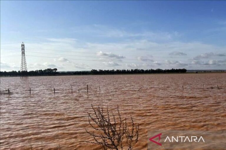 Hujan lebat dan longsor tewaskan 37 orang di Ethiopia Utara