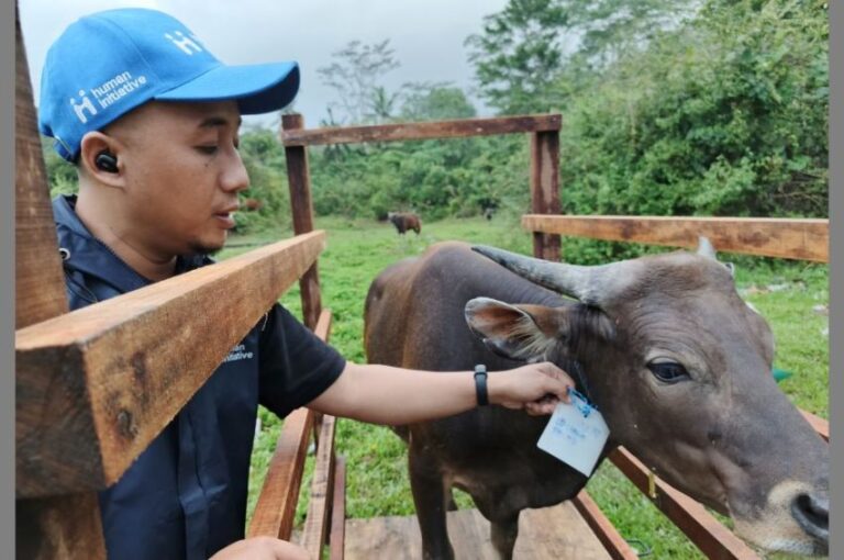 Jaga Kualitas Hewan Kurban, Human Initiative Berangkatkan Tim ke Pelosok Indonesia