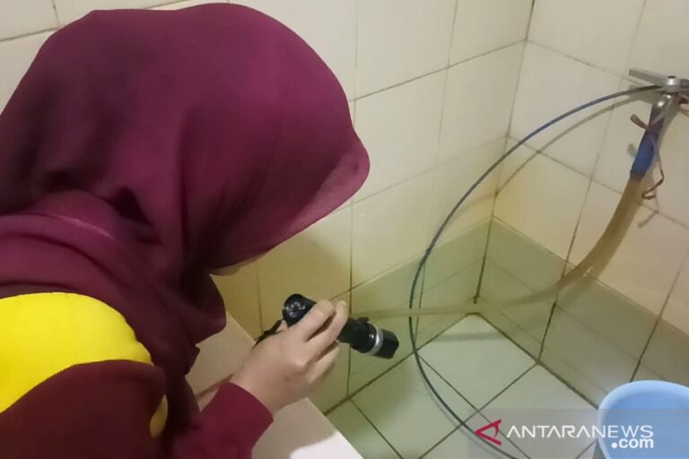 Jakpus tunggu arahan Kemenkes-Dinkes soal nyamuk Wolbachia