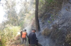 Karhutla Hanguskan Kawasan Wisata Bukit B29 di Taman Nasional Bromo Tengger Semeru