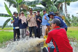 Kementan: 1.003 pompa tersalurkan di Riau untuk perluasan areal tanam