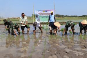 Kementan turun ke Probolinggo untuk gerakan tanam padi PAT