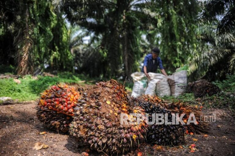 Membalik Kerugian Jadi Keuntungan, Transformasi Bisnis Perkebunan Negara