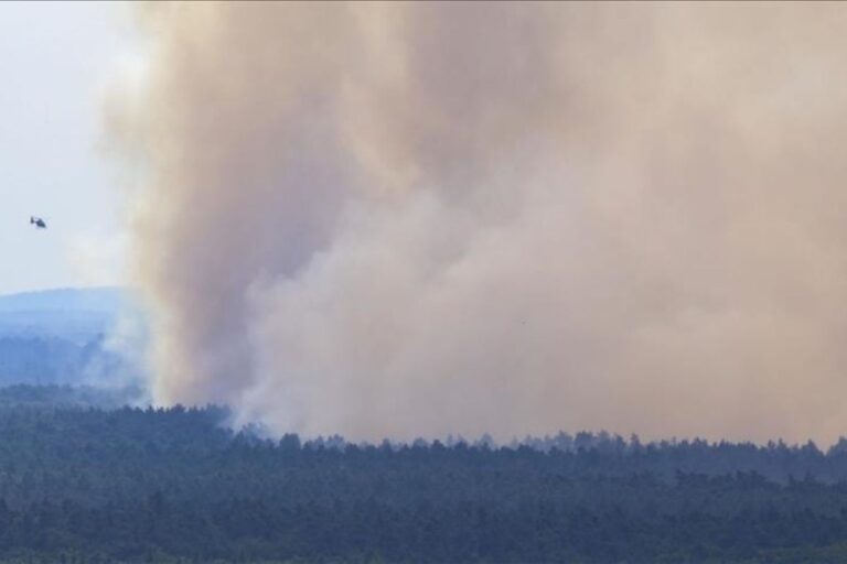 Pemadam berjibaku atasi kebakaran hutan dahsyat di Harz, Jerman